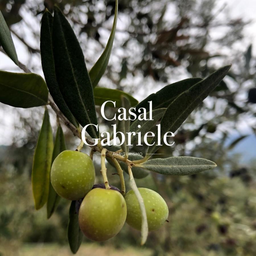 Casal Gabriele Villa Lettere Luaran gambar